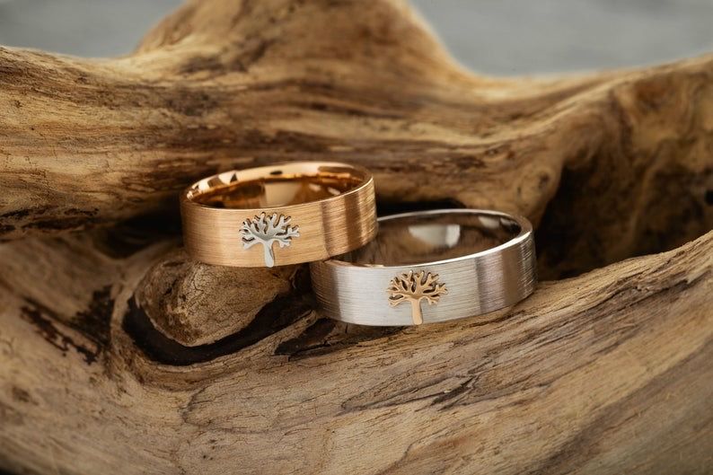 104708693_269682381001311_2587729039784869188_n