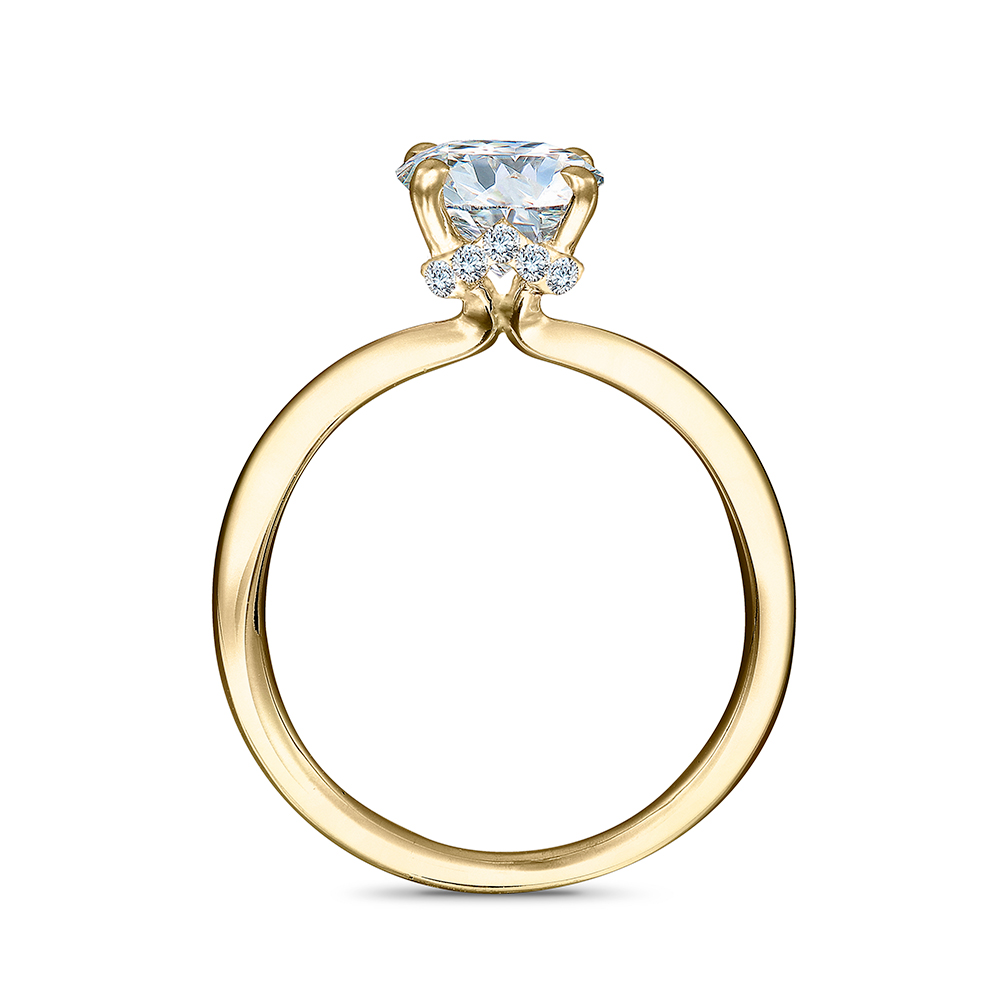 ED7976C6-BC20-4D42-8A7A-CBD32AFE8F74