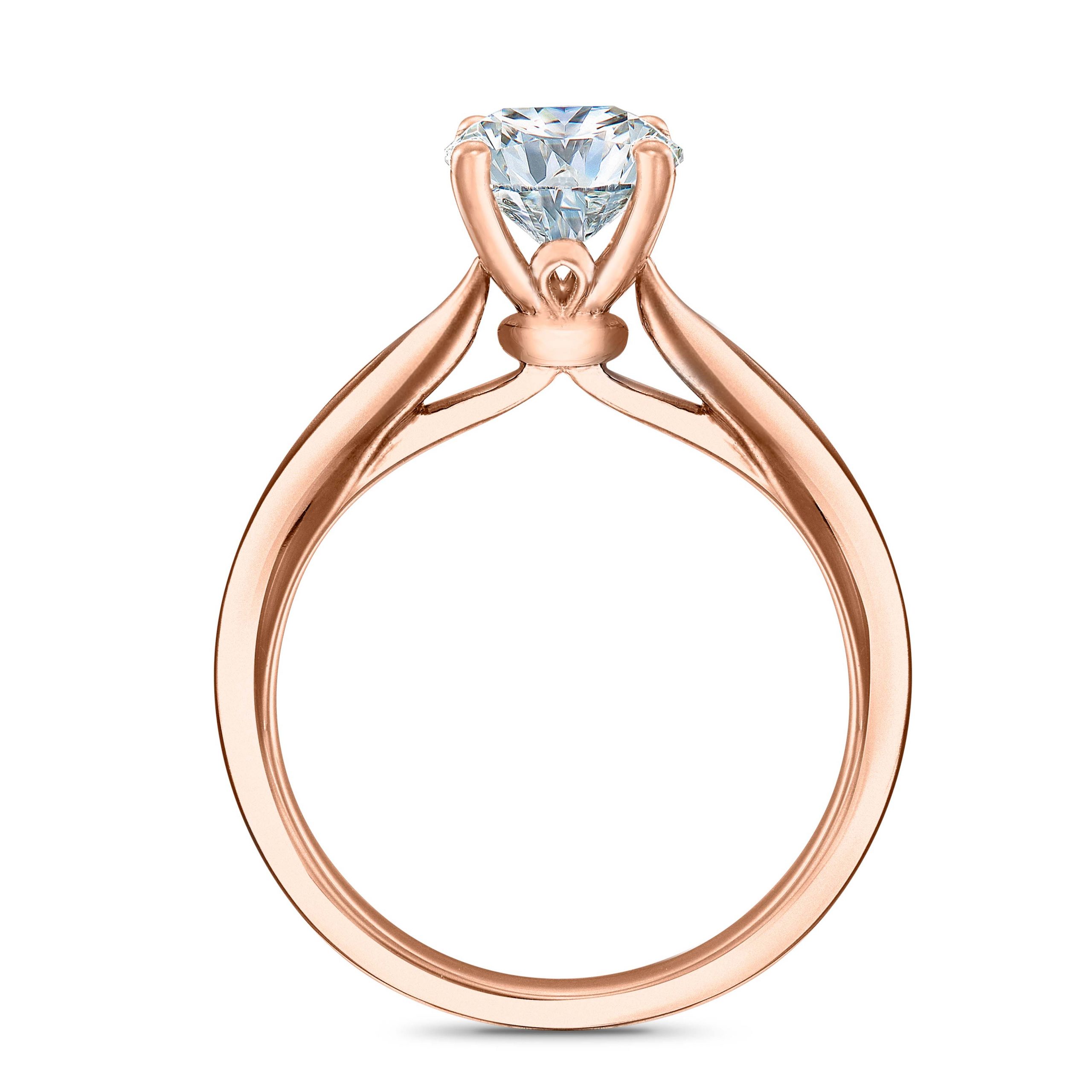 file157544273309646997