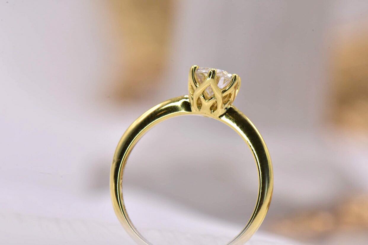 279759437_1625901431114924_6127962622410564151_n