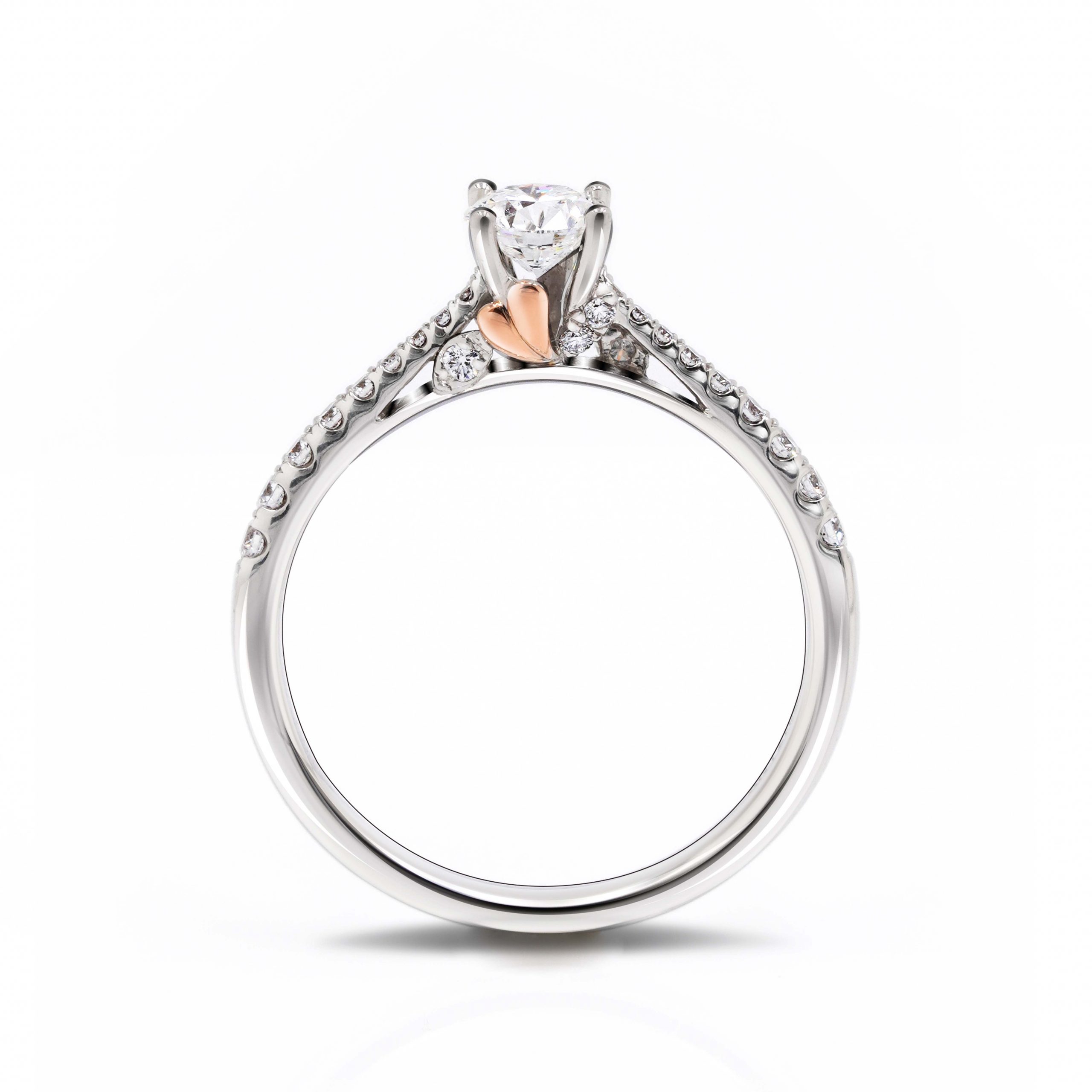 file15754427678985505-3-scaled