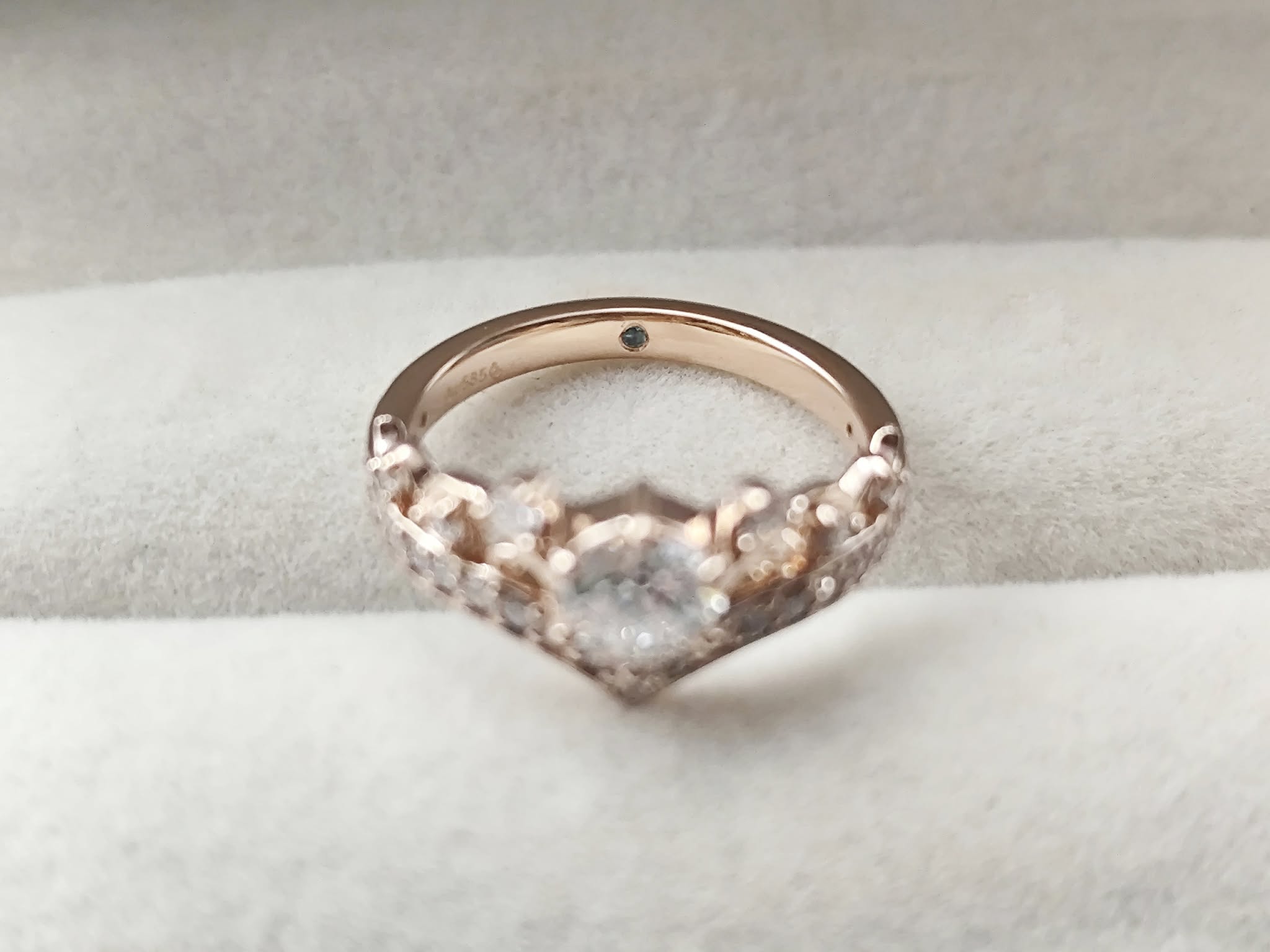 598508507_1538007500815194_8459038947669709120_n